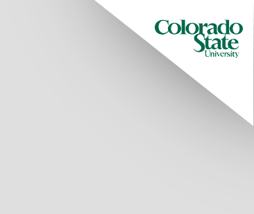 Colorado State University